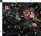 Botanical Faux Woven Texture Boho Floral Black And Pink Wild Flowers Bohemian Dark Custom Printed Fabric by Spoonflower Various Fabrics by the Yard or Fat Quarter